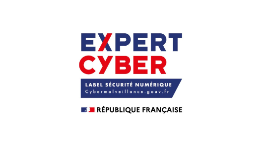 expert cyber
